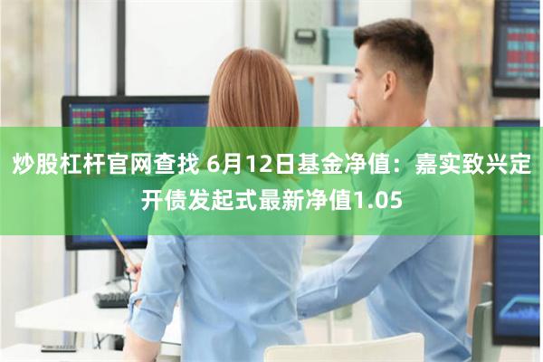 炒股杠杆官网查找 6月12日基金净值：嘉实致兴定开债发起