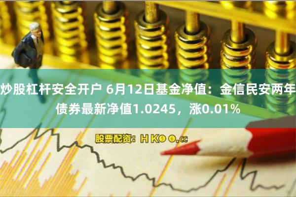 炒股杠杆安全开户 6月12日基金净值：金信民安两年债券最新净值1.0245，涨0.01%