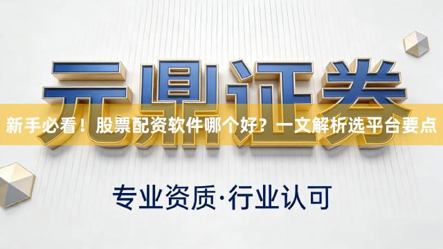 新手必看！股票配资软件哪个好？一文解析选平台要点