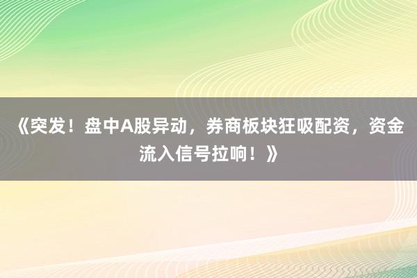 《突发！盘中A股异动，券商板块狂吸配资，资金流入信号拉响！》
