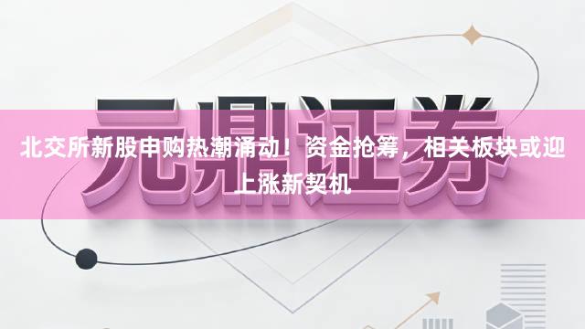 北交所新股申购热潮涌动！资金抢筹，相关板块或迎上涨新契机