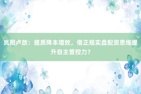 岚图卢放：提质降本增效，<a href=