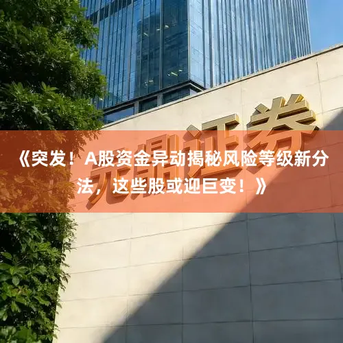 《突发！A股资金异动揭秘风险等级新分法，这些股或迎巨变！》