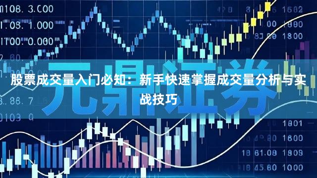 股票成交量入门必知:新手快速掌握成交量分析与实战技巧
