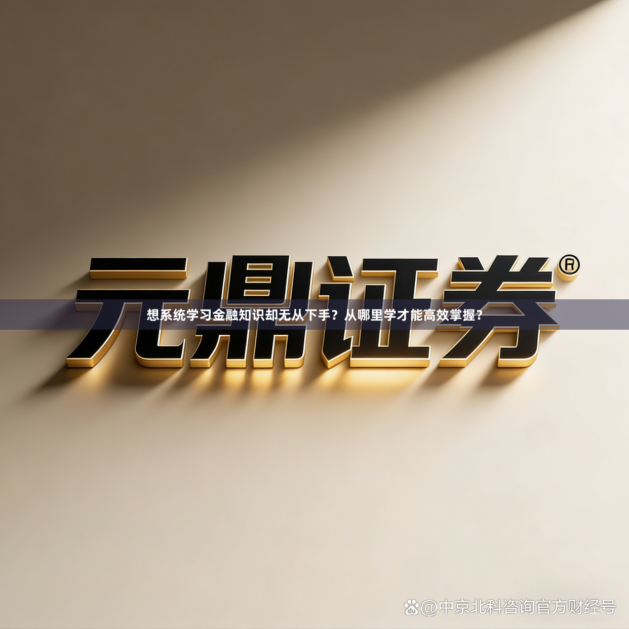 想系统学习金融知识却无从下手？从哪里学才能高效掌握？