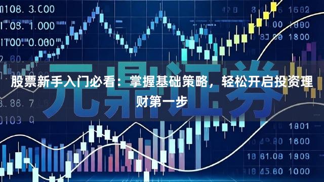 股票新手入门必看：掌握基础策略，轻松开启投资理财第一步