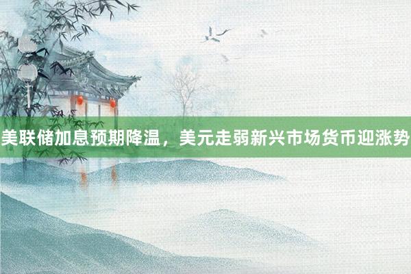 美联储加息预期降温，美元走弱新兴市场货币迎涨势