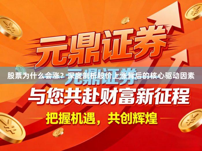 股票为什么会涨？深度剖析股价上涨背后的核心驱动因素