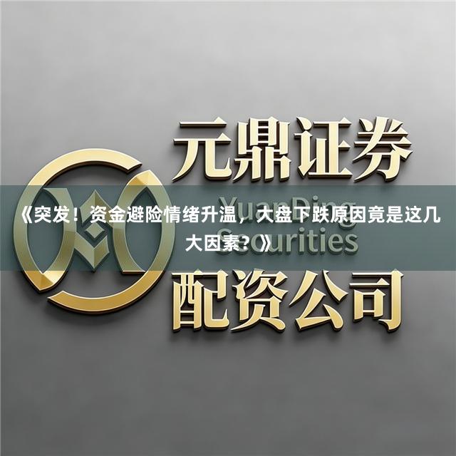 《突发！资金避险情绪升温，大盘下跌原因竟是这几大因素？》
