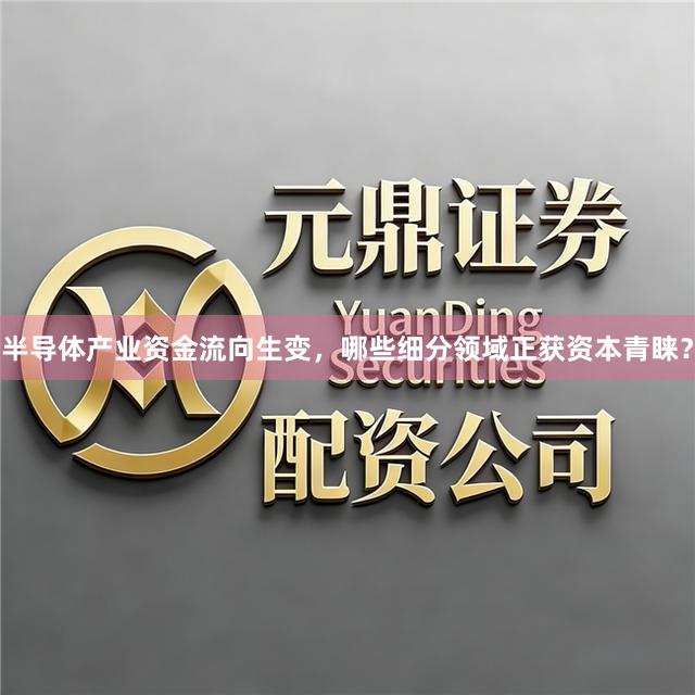 半导体产业资金流向生变,哪些细分领域正获资本青睐?