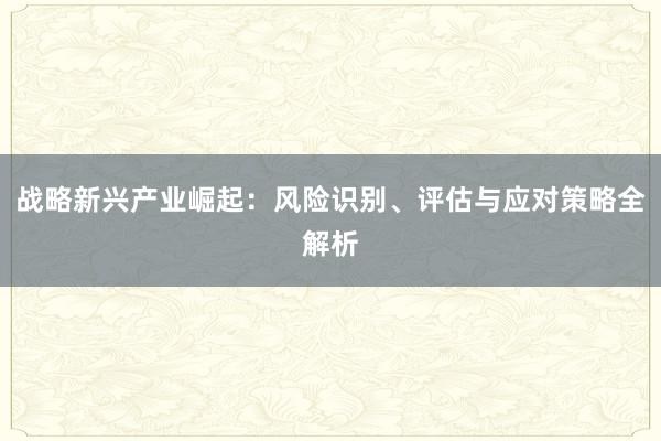 战略新兴产业崛起：风险识别、评估与应对策略全解析