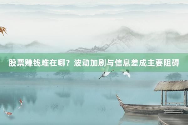股票赚钱难在哪？波动加剧与信息差成主要阻碍