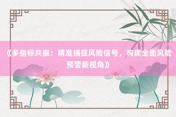 《多指标共振：精准捕捉风险信号，构建全面风险预警新视角》