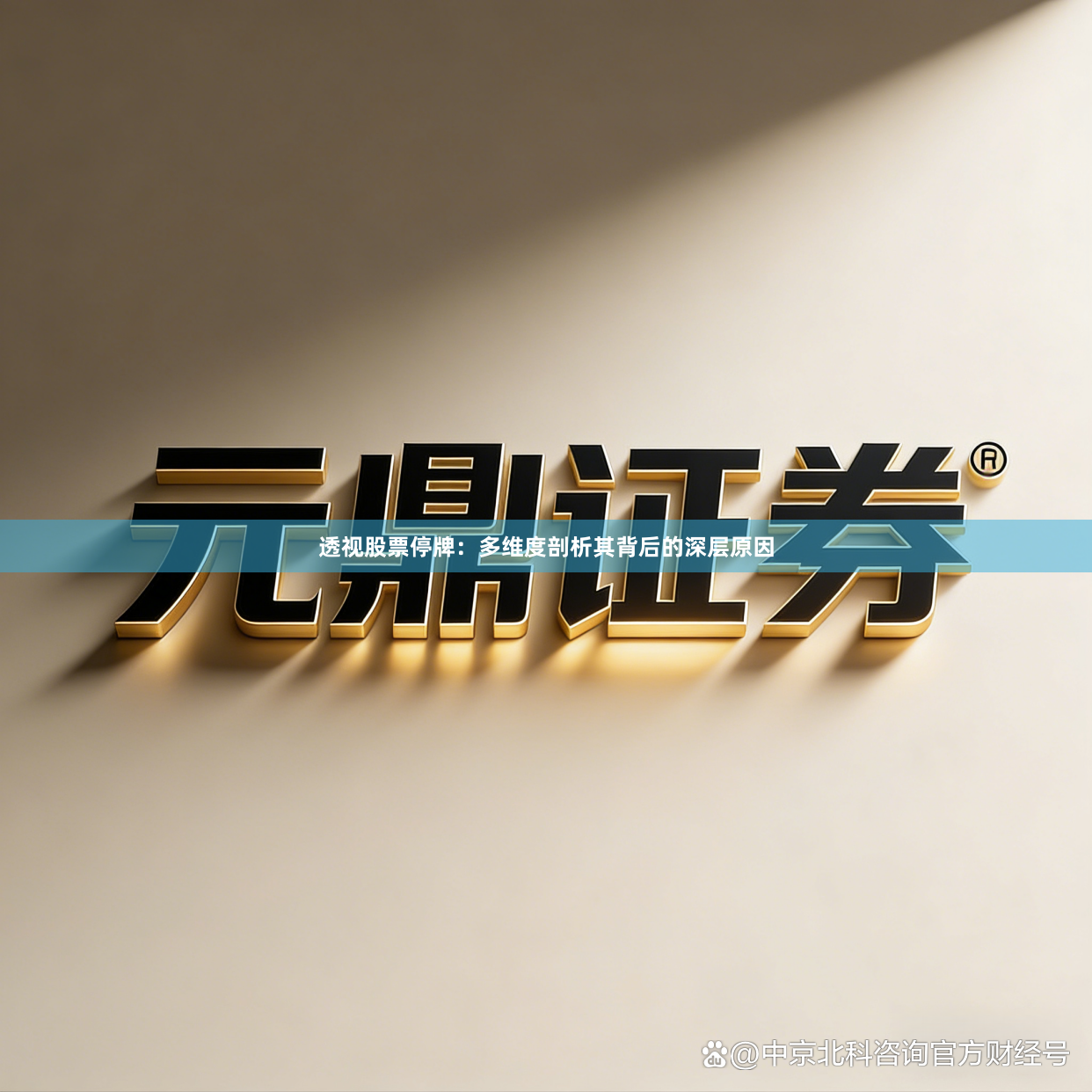 透视股票停牌：多维度剖析其背后的深层原因
