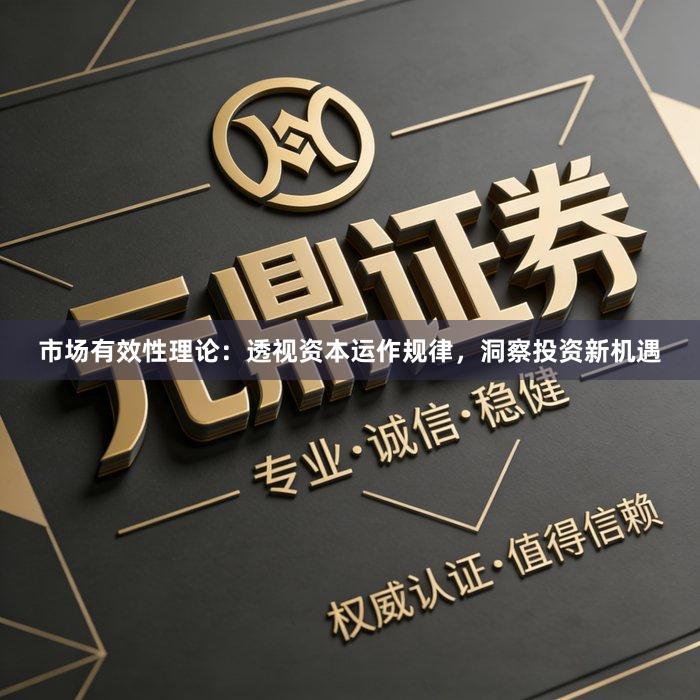 市场有效性理论：透视资本运作规律，洞察投资新机遇