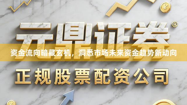 资金流向暗藏玄机，洞悉市场未来资金趋势新动向