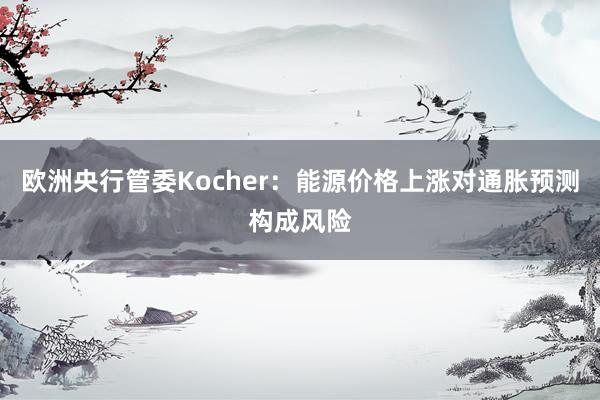 欧洲央行管委Kocher：能源价格上涨对通胀预测构成风险