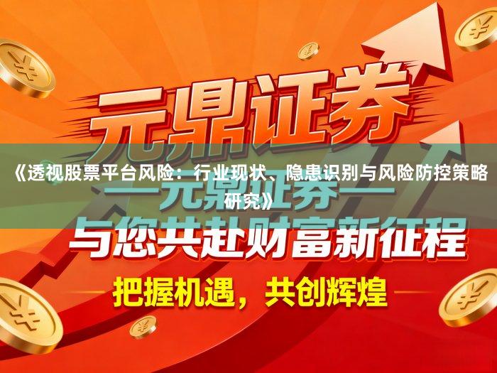 《透视股票平台风险：行业现状、隐患识别与风险防控策略研究》