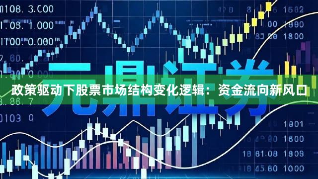 政策驱动下股票市场结构变化逻辑：资金流向新风口