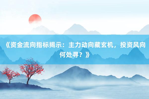 《资金流向指标揭示：主力动向藏玄机，投资风向何处寻？》