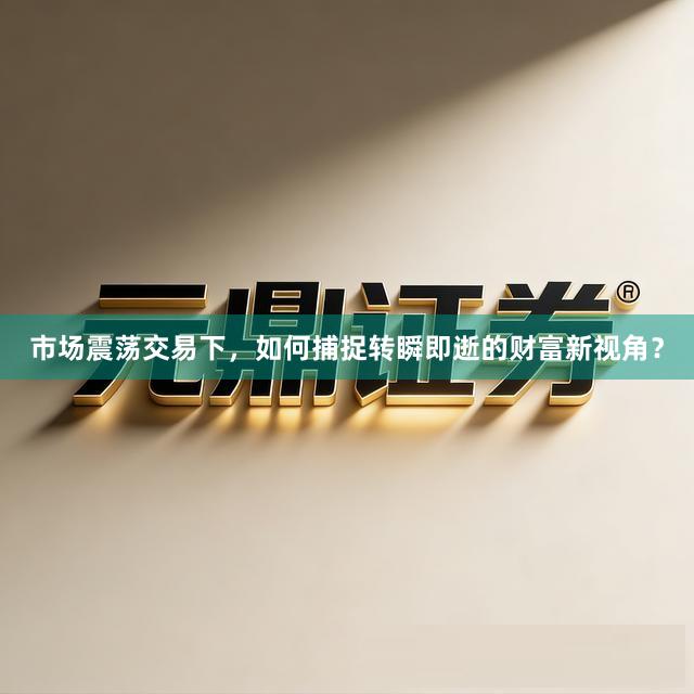 市场震荡交易下,如何捕捉转瞬即逝的财富新视角?